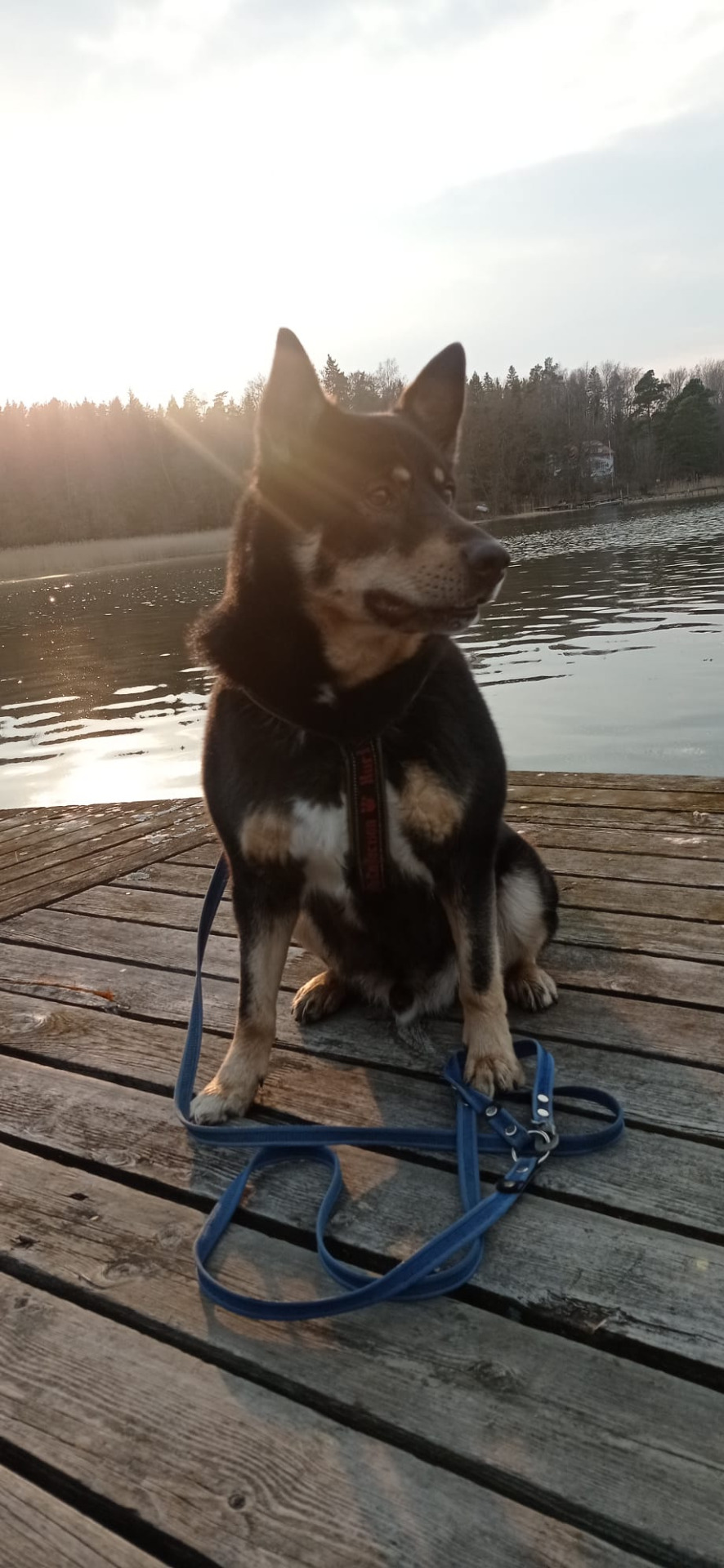 Remus